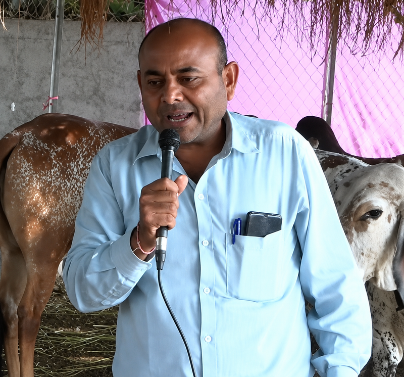 Hiteshbhai Domadiya