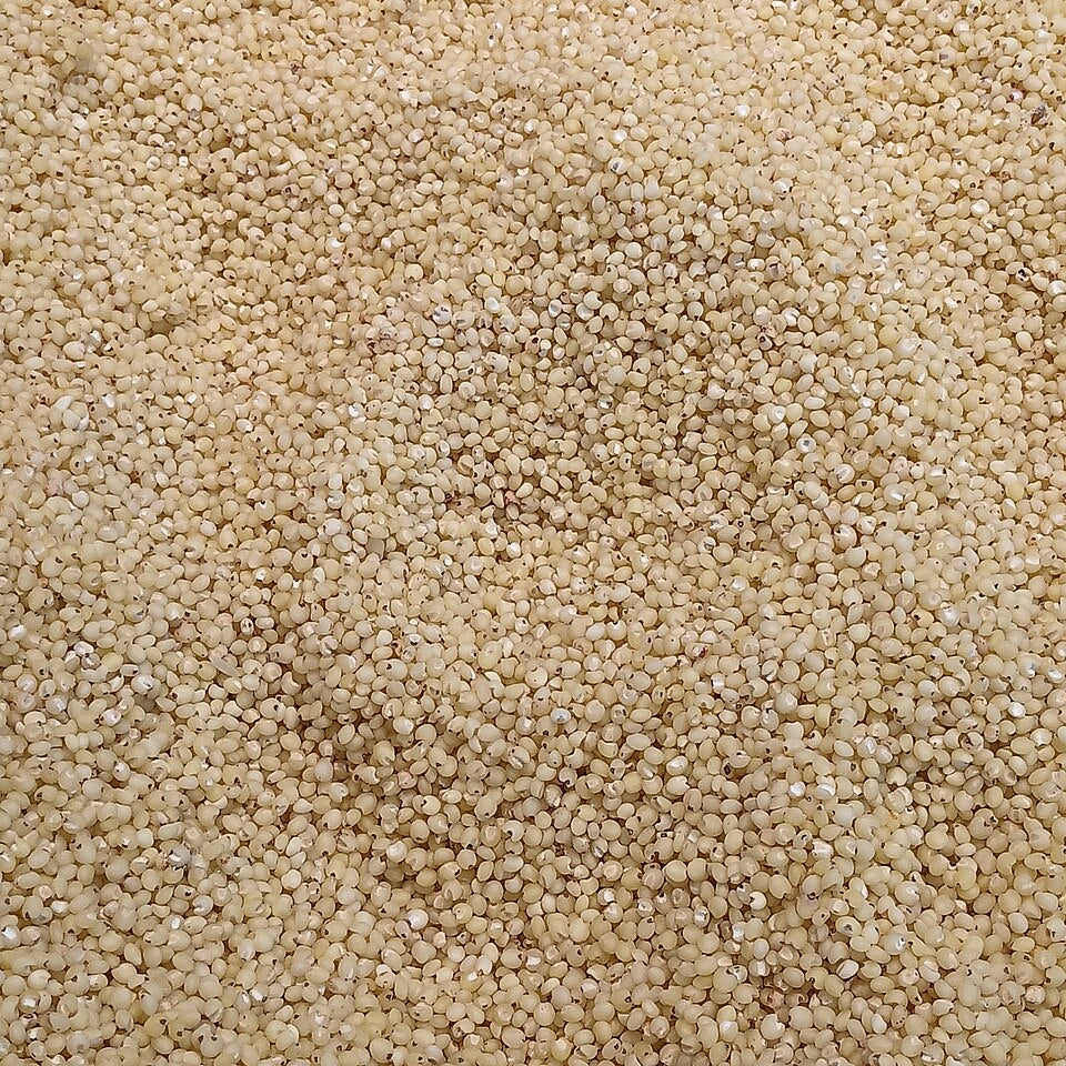 Raw sorghum grain