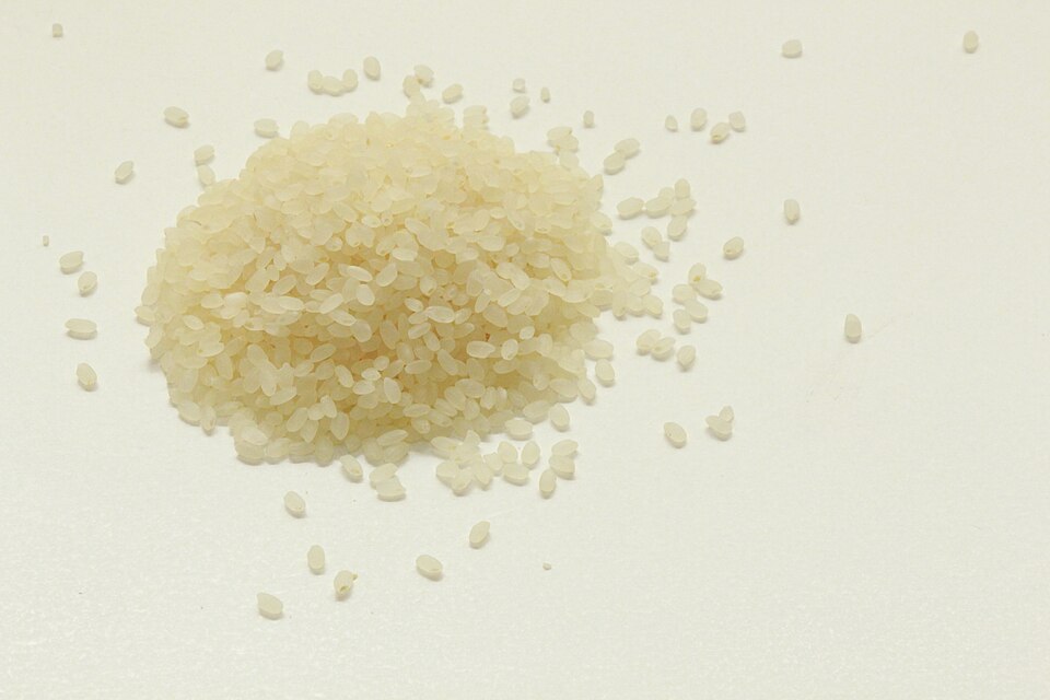 Raw short-grain rice